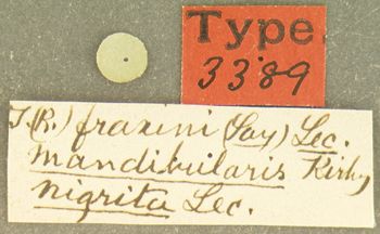Media type: image;   Entomology 3389 Aspect: labels